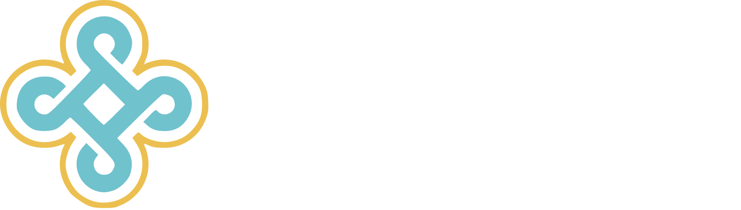 Logo Apolo medical Neamt